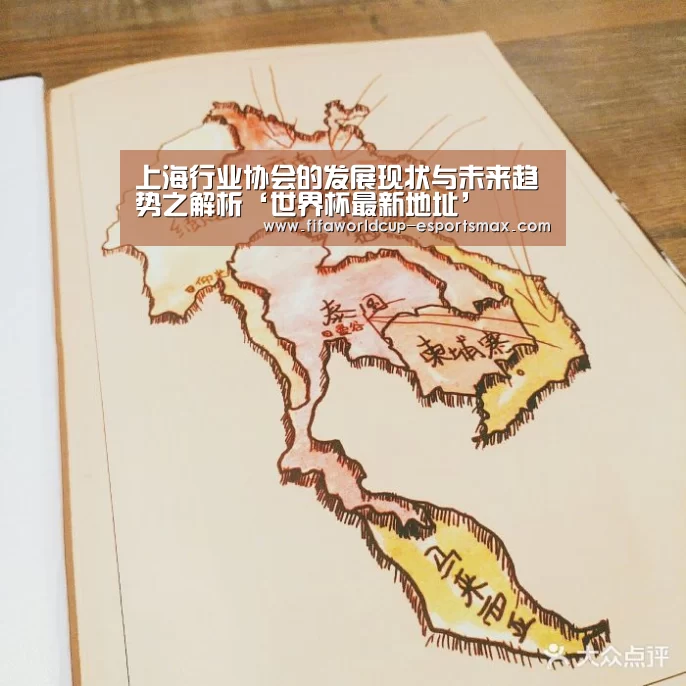 上海行业协会的发展现状与未来趋势之解析‘世界杯最新地址’(图3) 世界杯体育平台