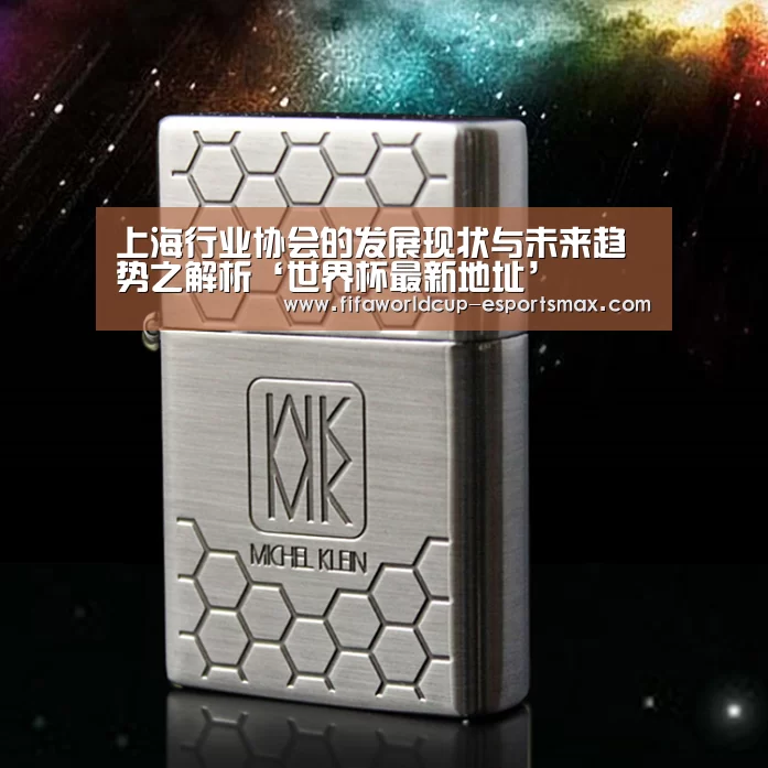 上海行业协会的发展现状与未来趋势之解析‘世界杯最新地址’(图2) 世界杯最新地址