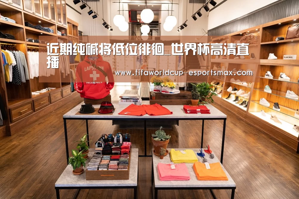 近期纯碱将低位徘徊_世界杯高清直播(图3) 世界杯电竞竞猜