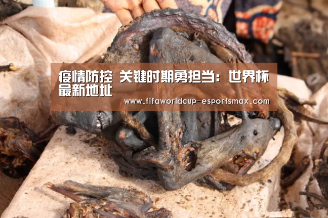 疫情防控 关键时期勇担当:世界杯最新地址(图3) 世界杯高清直播